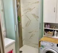 A bathroom with a shower and a washing machine in a 3-room apartment.