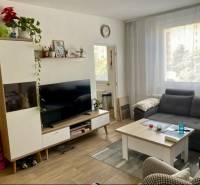 Living room in a 3-room apartment with a sofa, television, and wooden decor flooring.