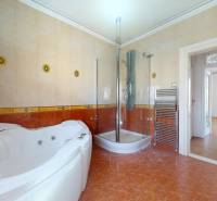 A bathroom with a massage bathtub and a shower, a 5 or more room apartment.