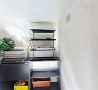 A small room with shelves and artificial plants in a 5 or more room apartment.