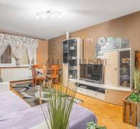 Living room in a 3-room apartment with a wooden decor floor and a comfortable sofa.