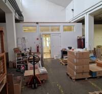 Warehouses and halls with stocked goods on pallets and a handling trolley.