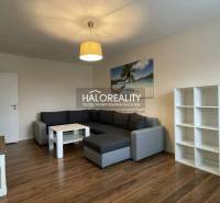 Living room with wood-patterned flooring in a three-room apartment, gray sofa, shelves.