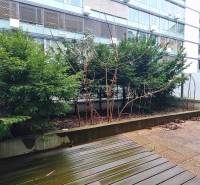 Terrace with plants and paving in a 3-room apartment on Dvořákovo nábrežie, Bratislava - Staré Mesto.