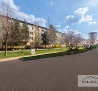 A view of the courtyard in Bratislava - Ružinov on Kostlivého Street with flowers and trees.
