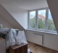 Attic room with a large window, radiator, and wooden decor flooring.
