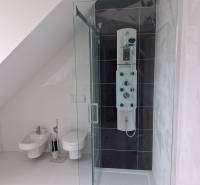 A bathroom in a family house with a toilet, bidet, and shower under a sloped wall.