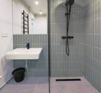 Bathroom in a 2-room apartment with a modern shower and sink, timeless design.