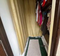 A narrow entrance to the cottage with a curtain and a hallway rug.