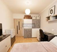 Bedroom in a 2-room apartment with wood-patterned flooring and storage space.