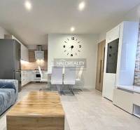 Living room in a two-room apartment with stylish furniture and a large wall clock.