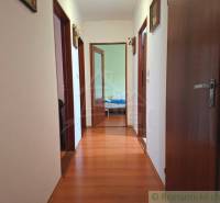 A hallway with a wooden decor floor in a family house, entrance to the rooms.