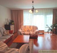 Living room in a family house with a wooden decor floor, light, and sofas.