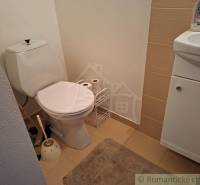 A bathroom in a family house with a toilet and a sink on a floor with a wooden decor.