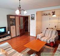 Living room in a family house with comfortable sofas and a wooden-patterned floor.