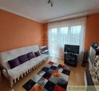 Living room in a family house with wood-patterned flooring and orange walls.