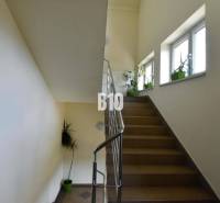 A staircase with a railing and plants next to the windows increases the natural lighting in the offices.