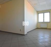 Open space, light walls, window, and tiles in the office.