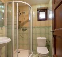 A bathroom with a toilet, shower, and sink in a 5 or more room apartment.