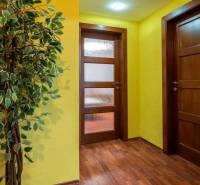 A hallway in a 5 or more-room apartment with a wooden decor floor and yellow walls.