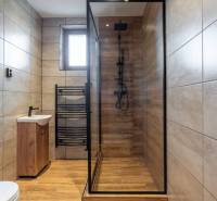 A bathroom in a 5 or more room apartment with a wooden decor floor and a shower corner.