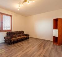 A room in a 5 or more room apartment with a sofa, a shelf, and a floor with a wooden decor.
