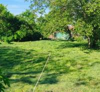 Grassy plots for living in Dolné Dubové with abundant greenery and trees.
