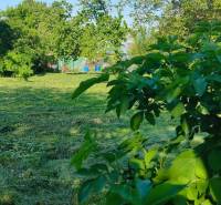 Residential plots in Dolné Dubové, Dolné Dubové Street. Irrigated, fenced garden with trees.