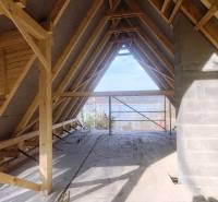 The interior of an unfinished cabin with a view of nature, floor with wooden decor.