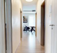 A corridor with a wooden decor floor leading to a 3-room apartment.