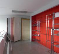 A store with metal shelves and stands in commercial premises.