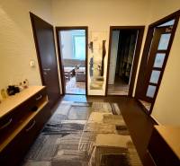 The entrance hall of a 3-room apartment with a wooden decor floor and a carpet.