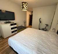 Bedroom in a 3-room apartment with a bed, television, and wooden decor flooring.