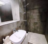A bathroom in a cabin with a sink, mirror, and shower stall with dark tiles.