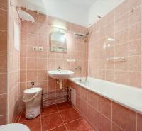 A bathroom in a studio apartment with pink tiles, a sink, and a bathtub.