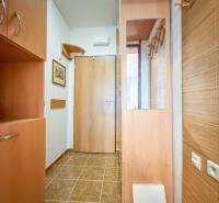 Entrance hall in a studio apartment with tiles, wardrobes, and a mirror, wood decor.