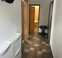 A hallway in a 2-room apartment with a dark decor floor and a plant in the corner.