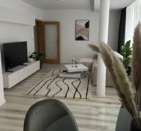 Living room of a two-room apartment with a wooden decor floor, white furniture, and a carpet.