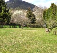 A garden at the cottage in Veľký Šariš with a view of a wooded hill.