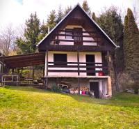 A cottage in Veľký Šariš on a slope among trees with a meadow in the foreground.