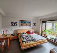 A bedroom in a family house with a desk and a large window, plants on the windowsill.