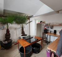 Interior of a family house with palm trees, a kitchenette, and a practical workspace.