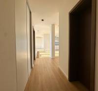 A hallway in a 4-room apartment with a wooden decor floor and a built-in wardrobe.
