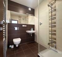 A bathroom with a shower and dark tiles in a 4-room apartment.