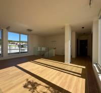 Living room in a 4-room apartment with wood-patterned flooring and large windows.