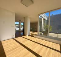 Spacious 4-room apartment with large windows and wooden decor flooring.