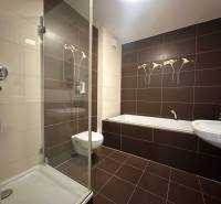 A bathroom in a 4-room apartment with a bathtub and a shower, tiled with brown tiles.