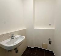 A toilet in a 4-room apartment with a white sink and black tiles.