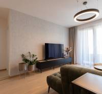 Living area in a two-room apartment with wood-patterned flooring and a television.