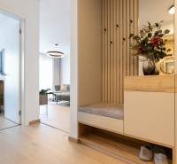 A hallway in a 2-room apartment with a plant on a cabinet and a light wooden-patterned floor.